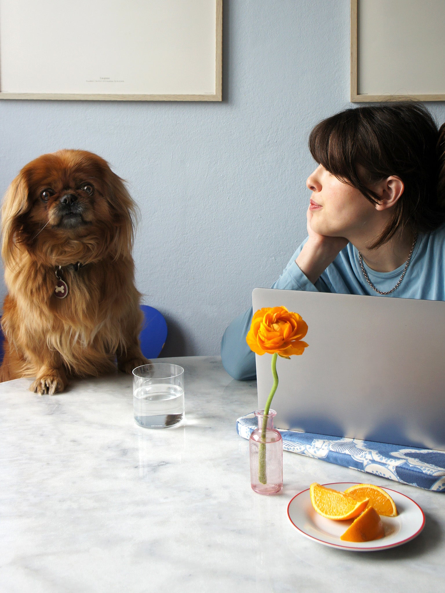 Datorfodral – Drömmar