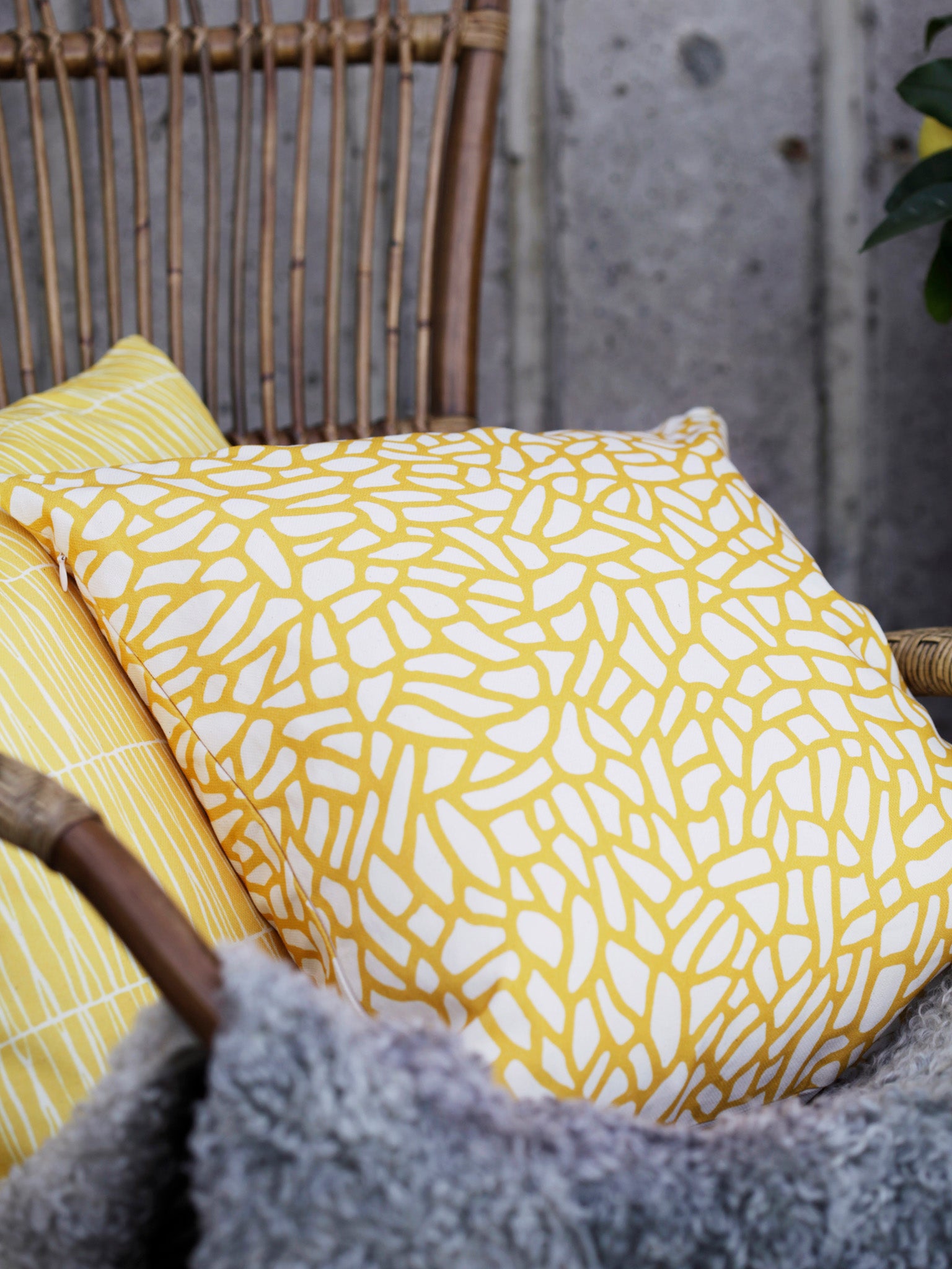 Cushion cover – Delta