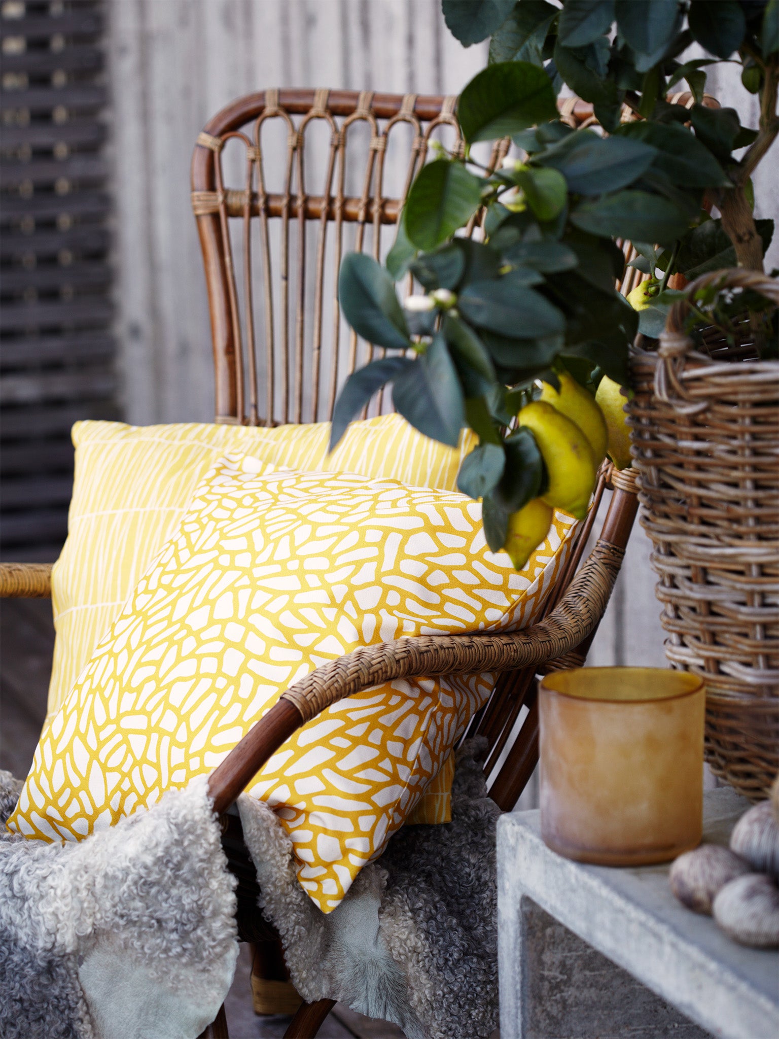 Cushion cover – Barr
