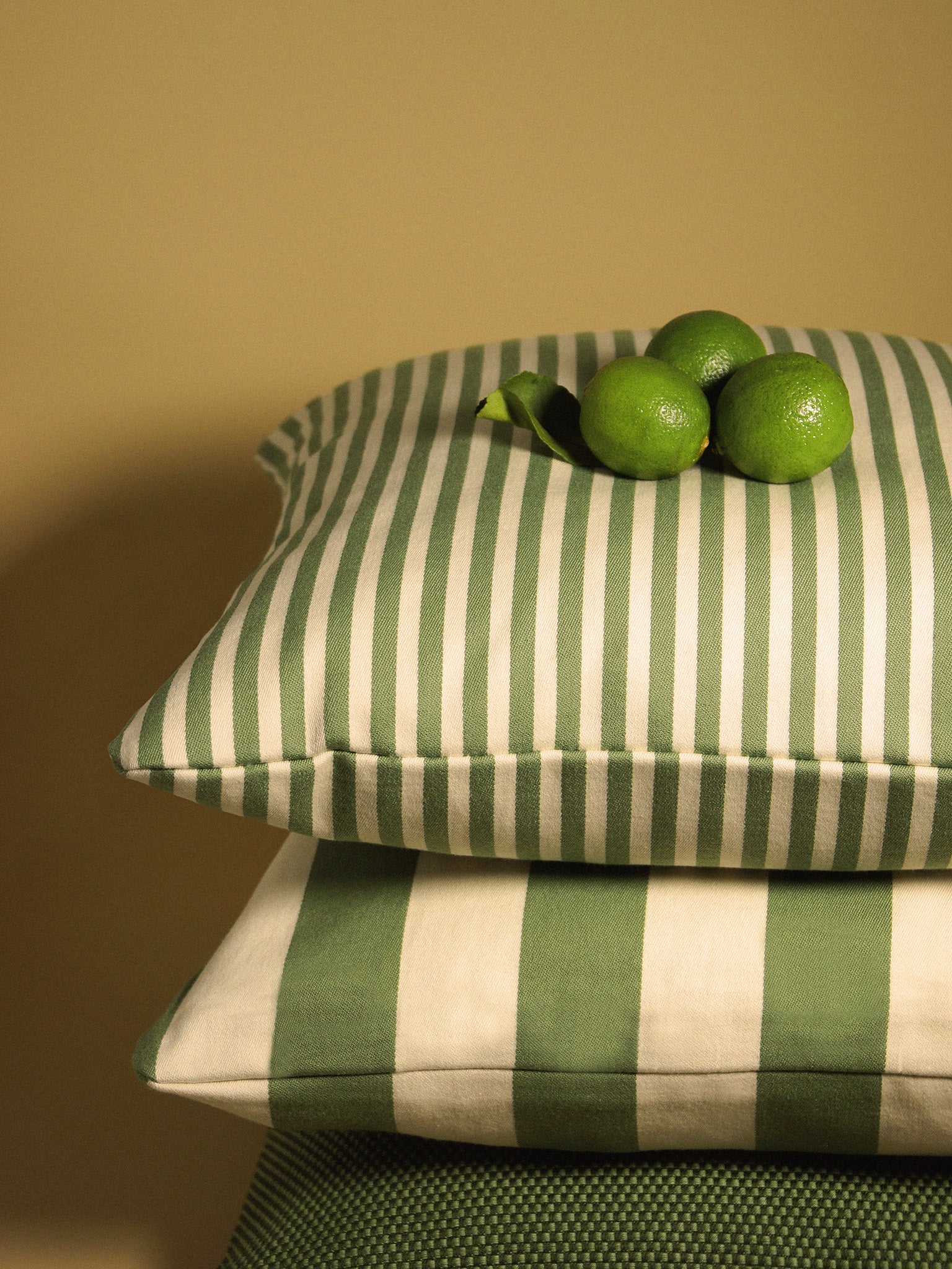 Cushion cover – Siri Rand